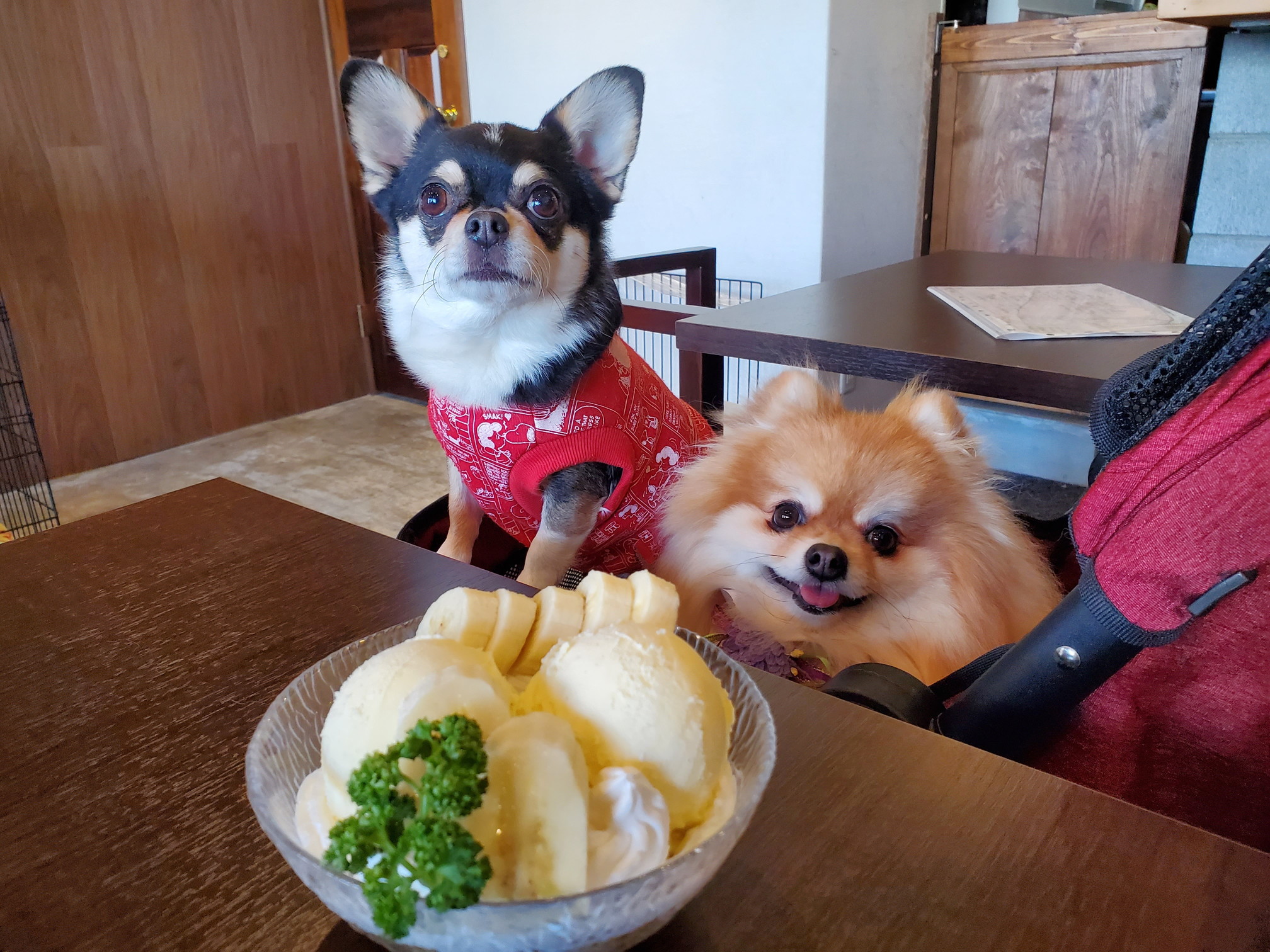 ドッグカフェ&バーモコモコ