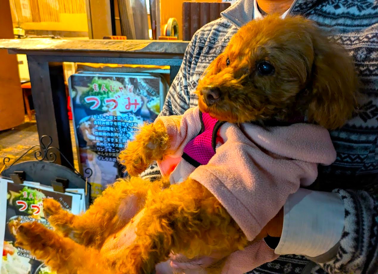 もんじゃつづみ