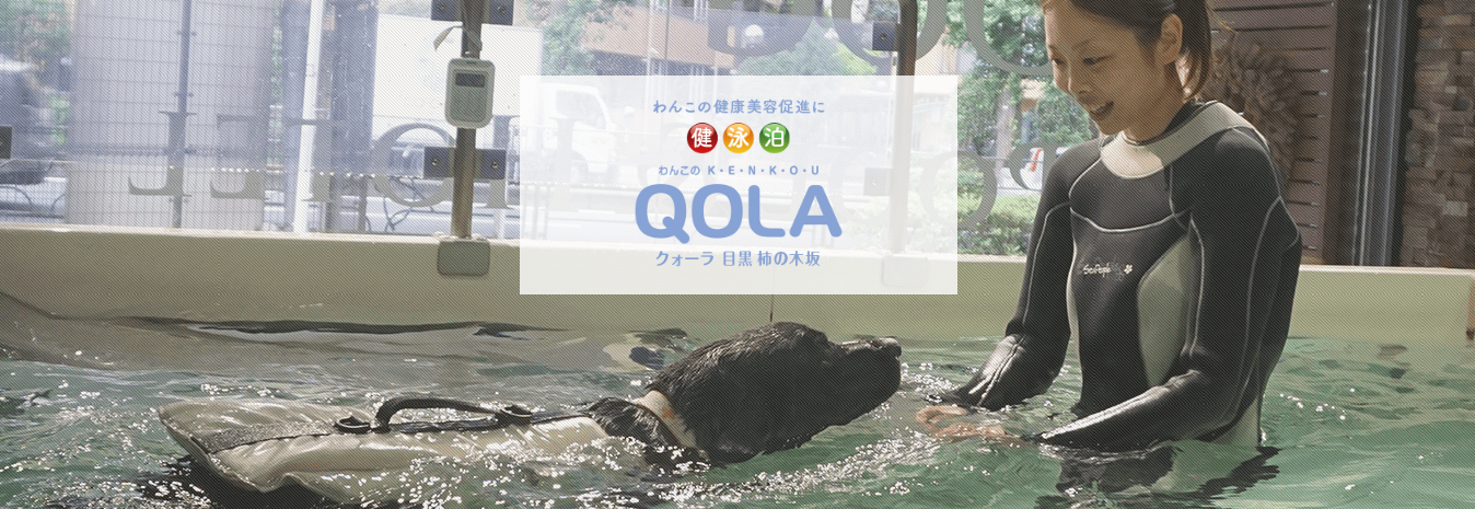 QOLA（クオーラ）目黒柿の木坂