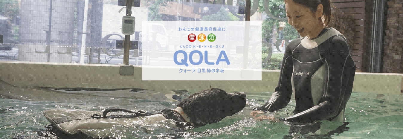 QOLA(クオーラ)目黒柿の木坂