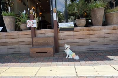 閉店 上野駅 湯島駅 Buzz Garden バズガーデン 本当は内緒にしたいホテルのパンブッフェレストラン ペット 犬同伴可 東京都台東区 ペットと一緒 閉店 上野駅 湯島駅 Buzz Garden バズガーデン 本当は内緒にしたいホテルのパンブッフェレストラン ペット 犬同伴可 東京都台東区 ペットと一緒