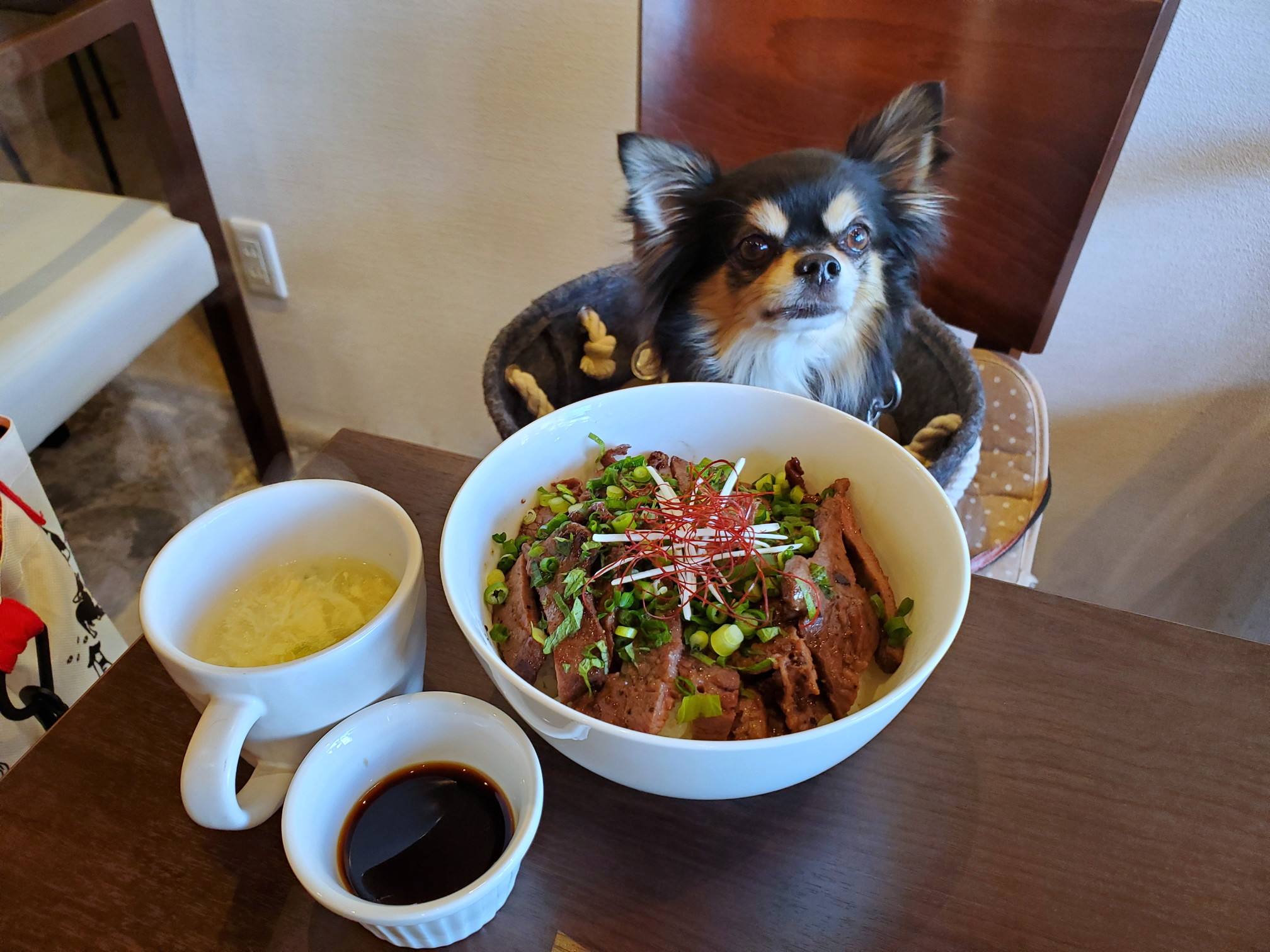 ドッグカフェ&バーモコモコ