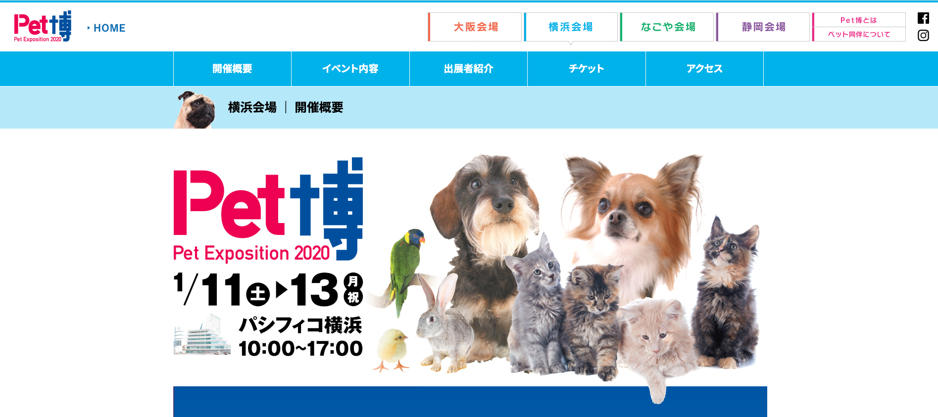 【全国】1月に愛犬と楽しめるイベント