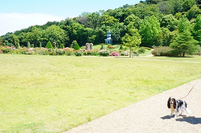 河津バガテル公園