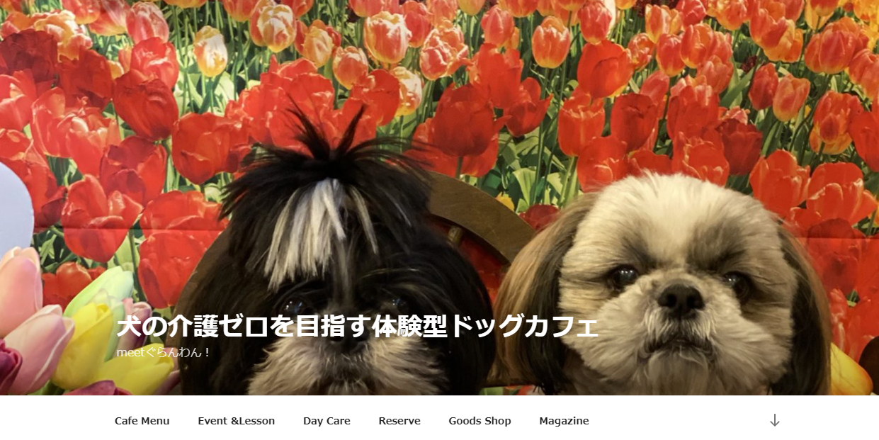 meetぐらんわん!犬の介護ZERO教室
