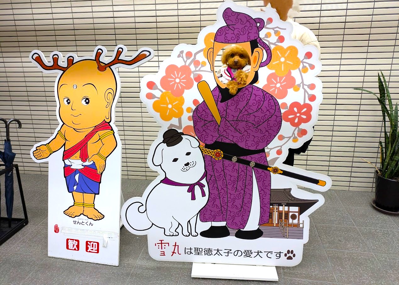 わんわんパラダイス奈良生駒
