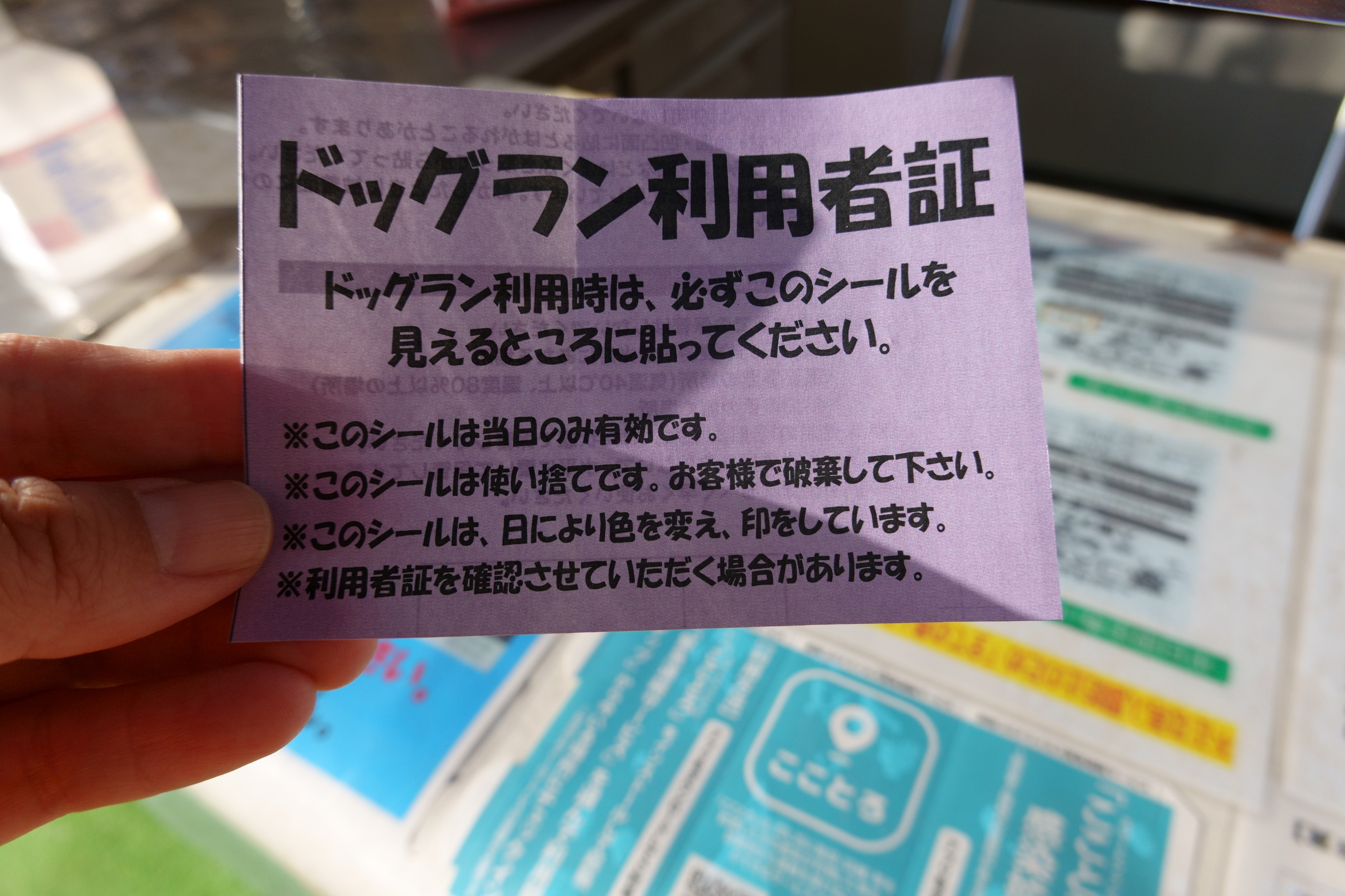 京都丹後／亀岡の夢コスモス園