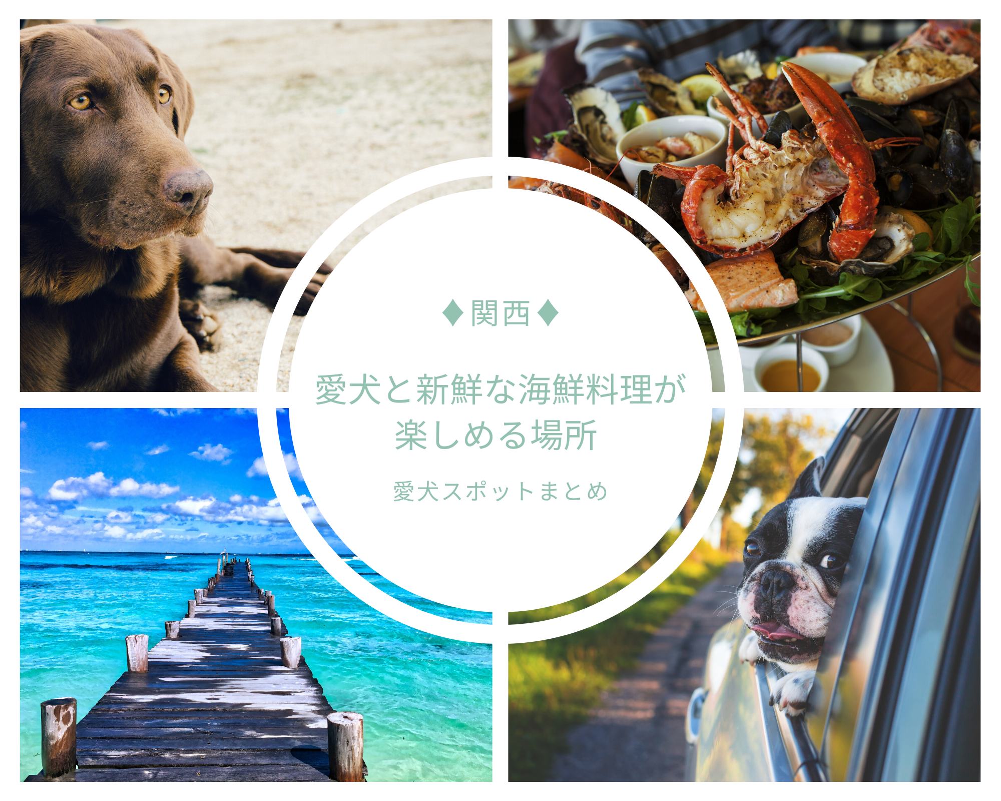【関西】愛犬と新鮮な海鮮料理が楽しめる場所
