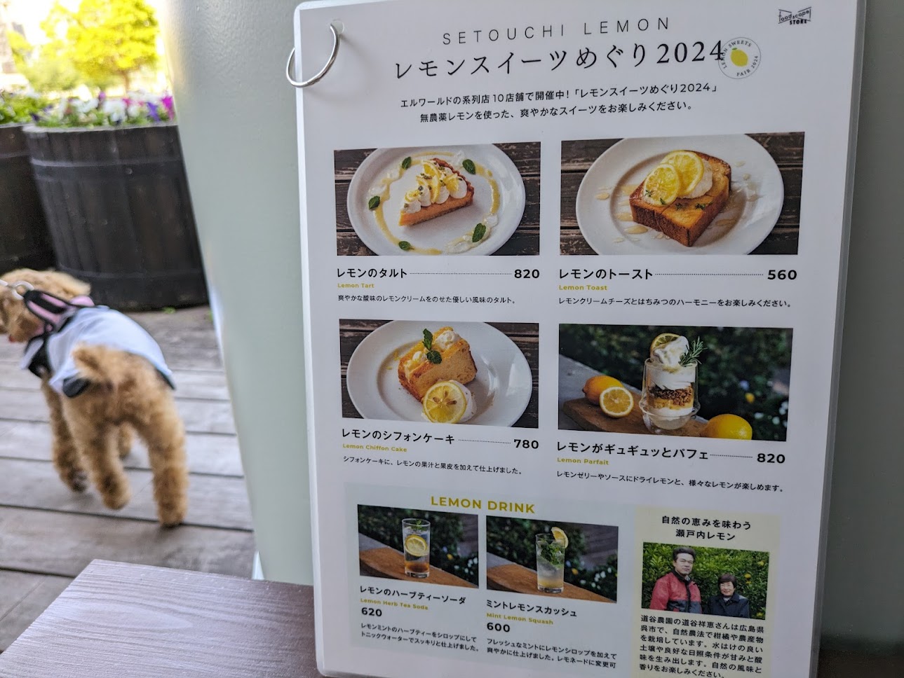 foodscape!STORE