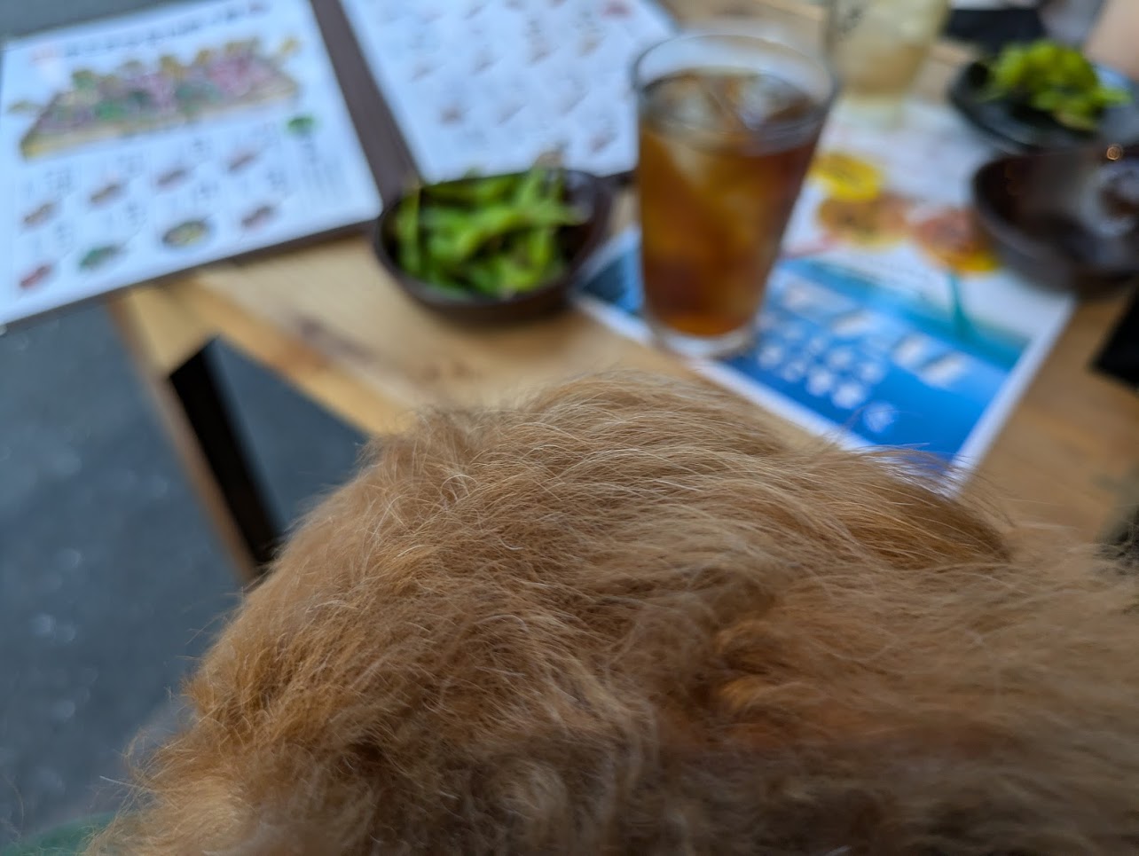 ナミヘイスタンド裏なんば店