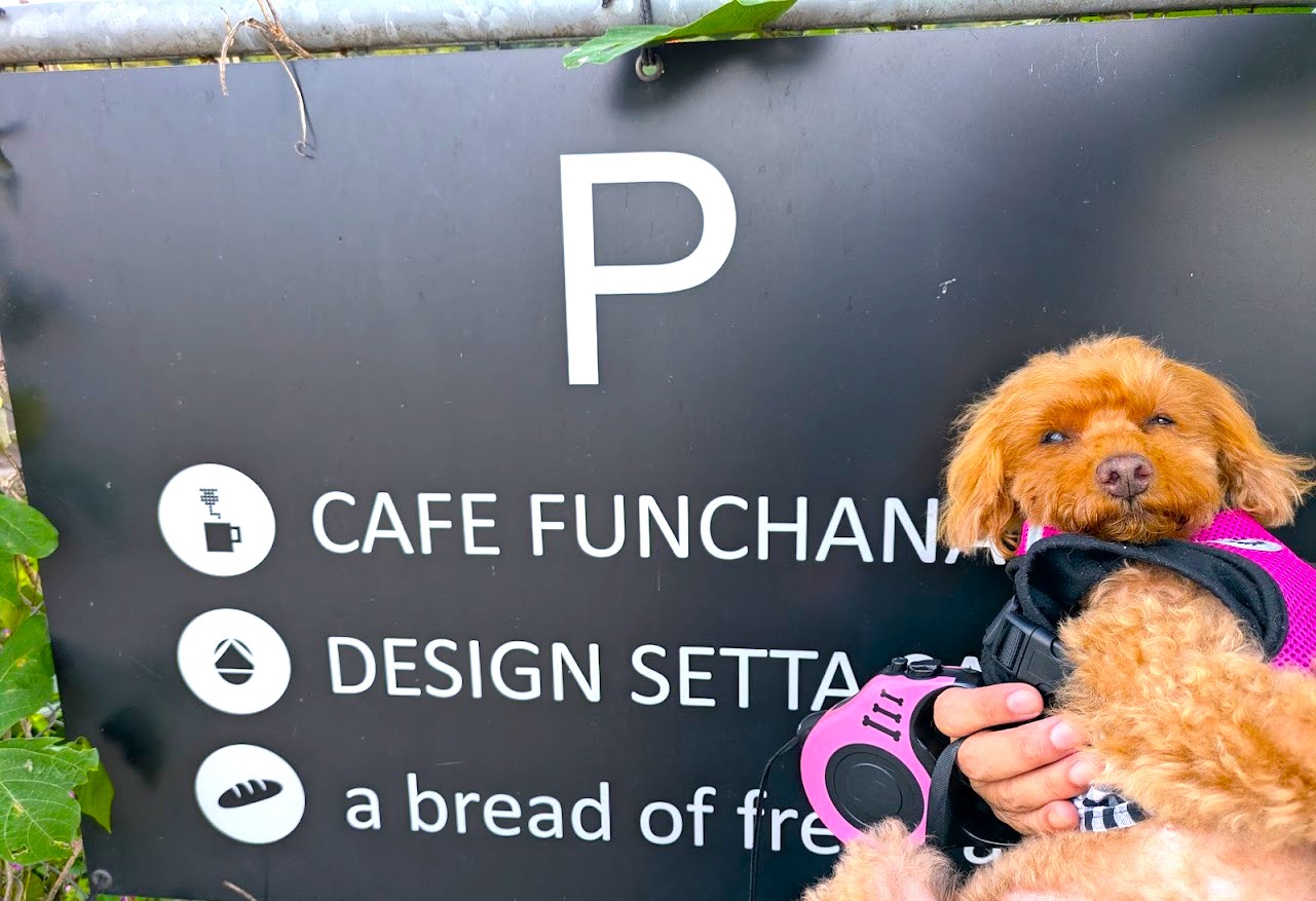 アブレッドオブフレッシュエア