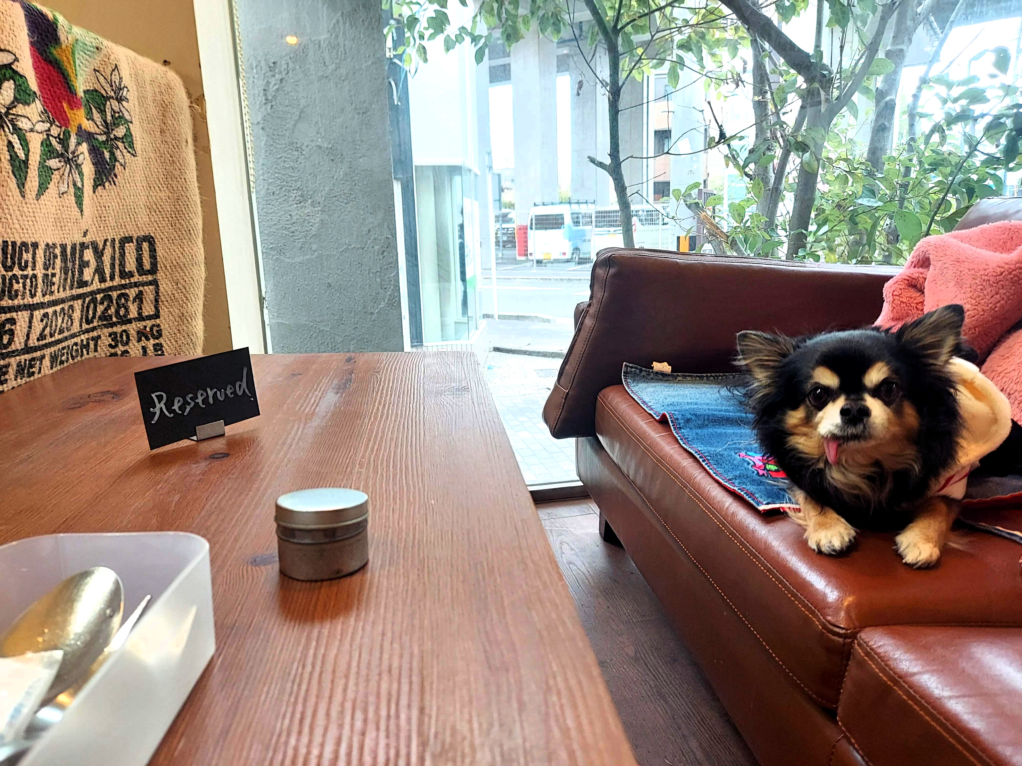 X.COFFEE（バイドットコーヒー）