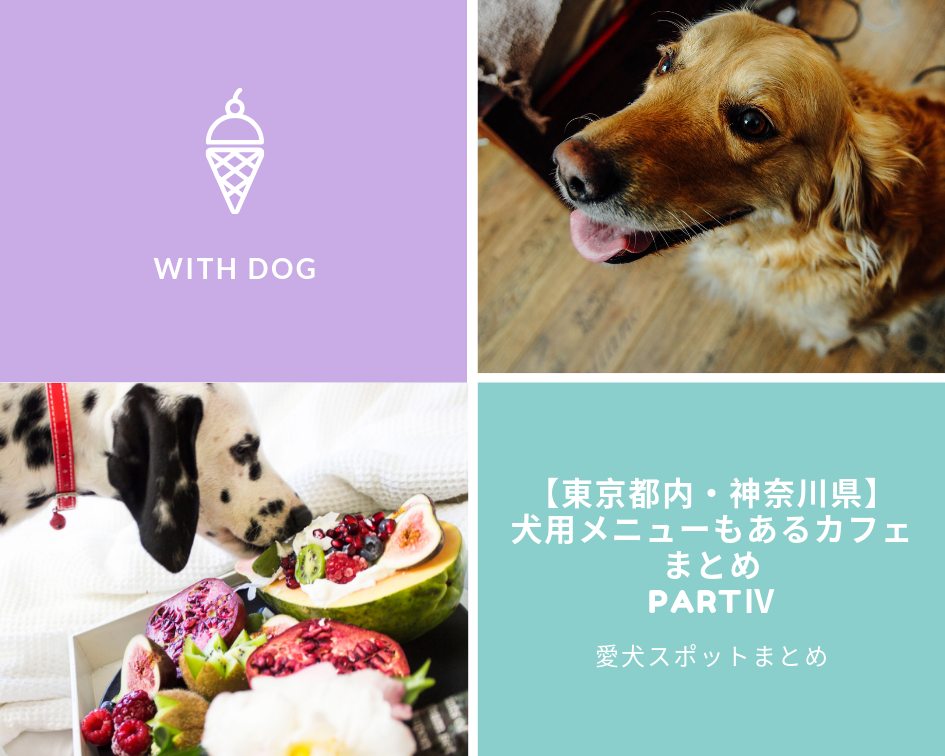 【東京都内・神奈川県】「犬用メニューもあるカフェまとめ」PartⅣ