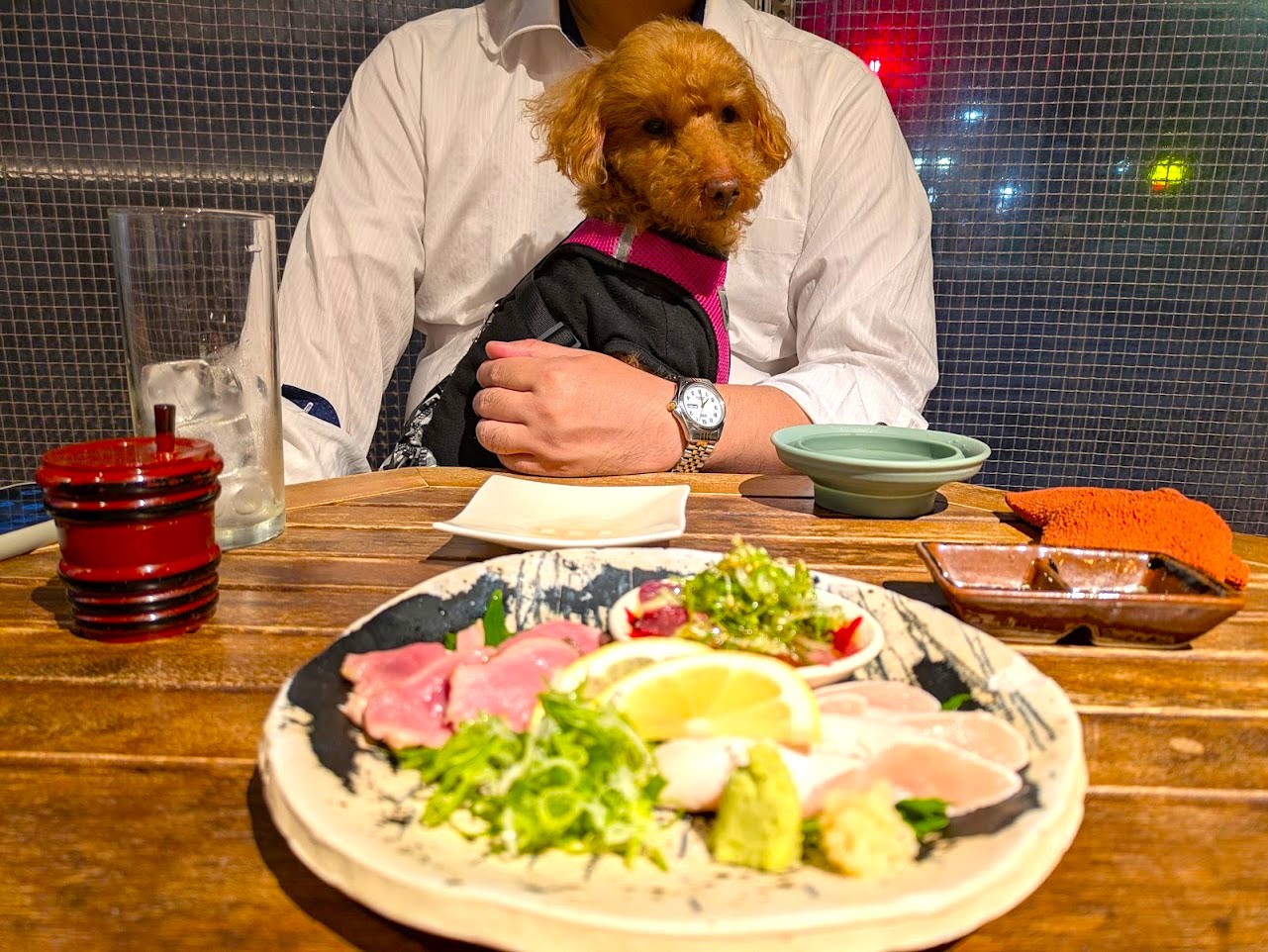 炭焼TOKI