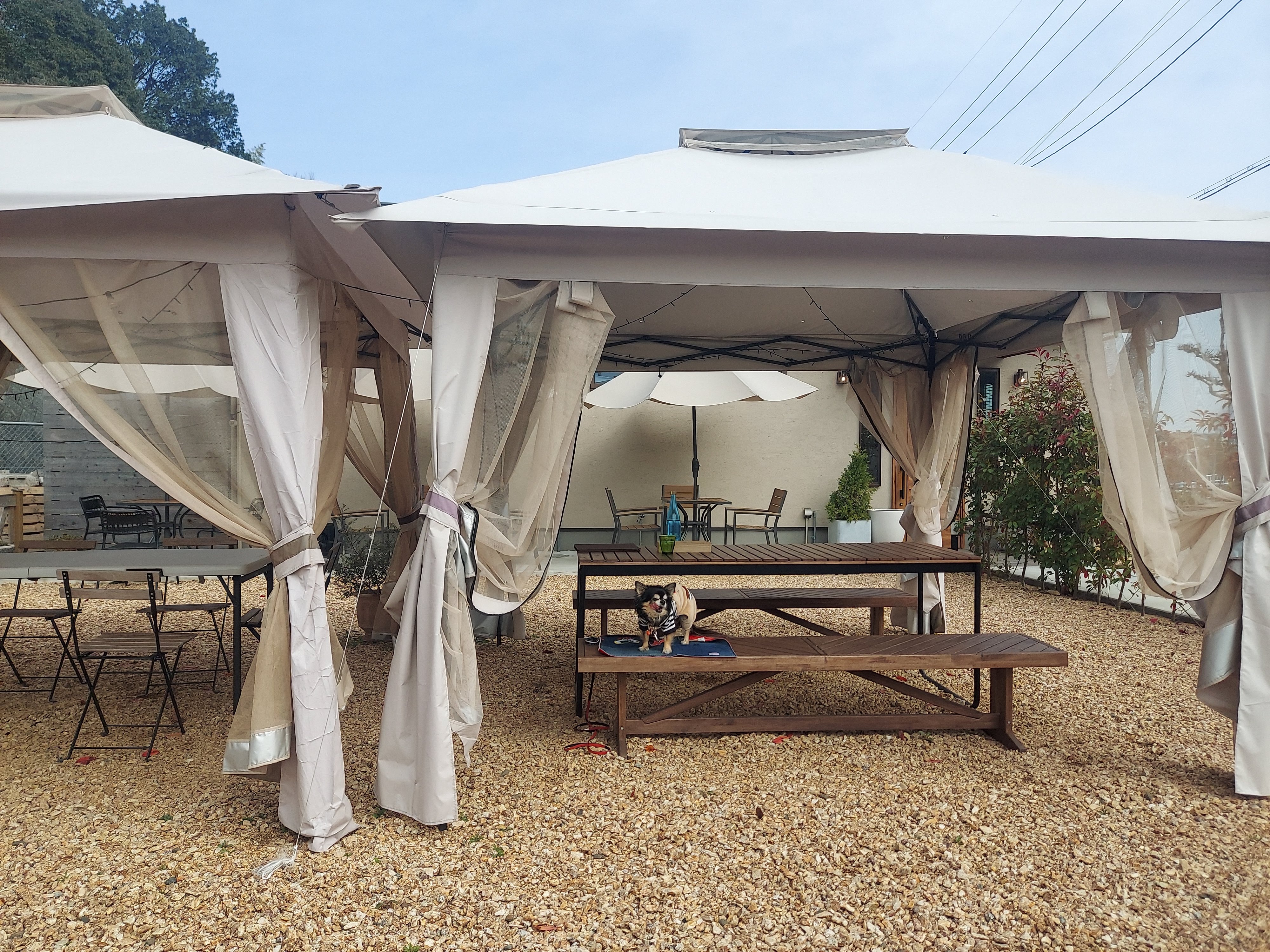 Cave des ARTIVEURS(キャーヴ・デ・ザルティバー)