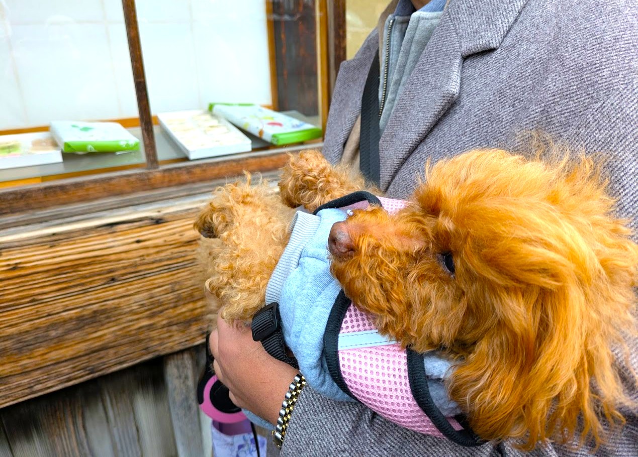 小川又兵衛商店