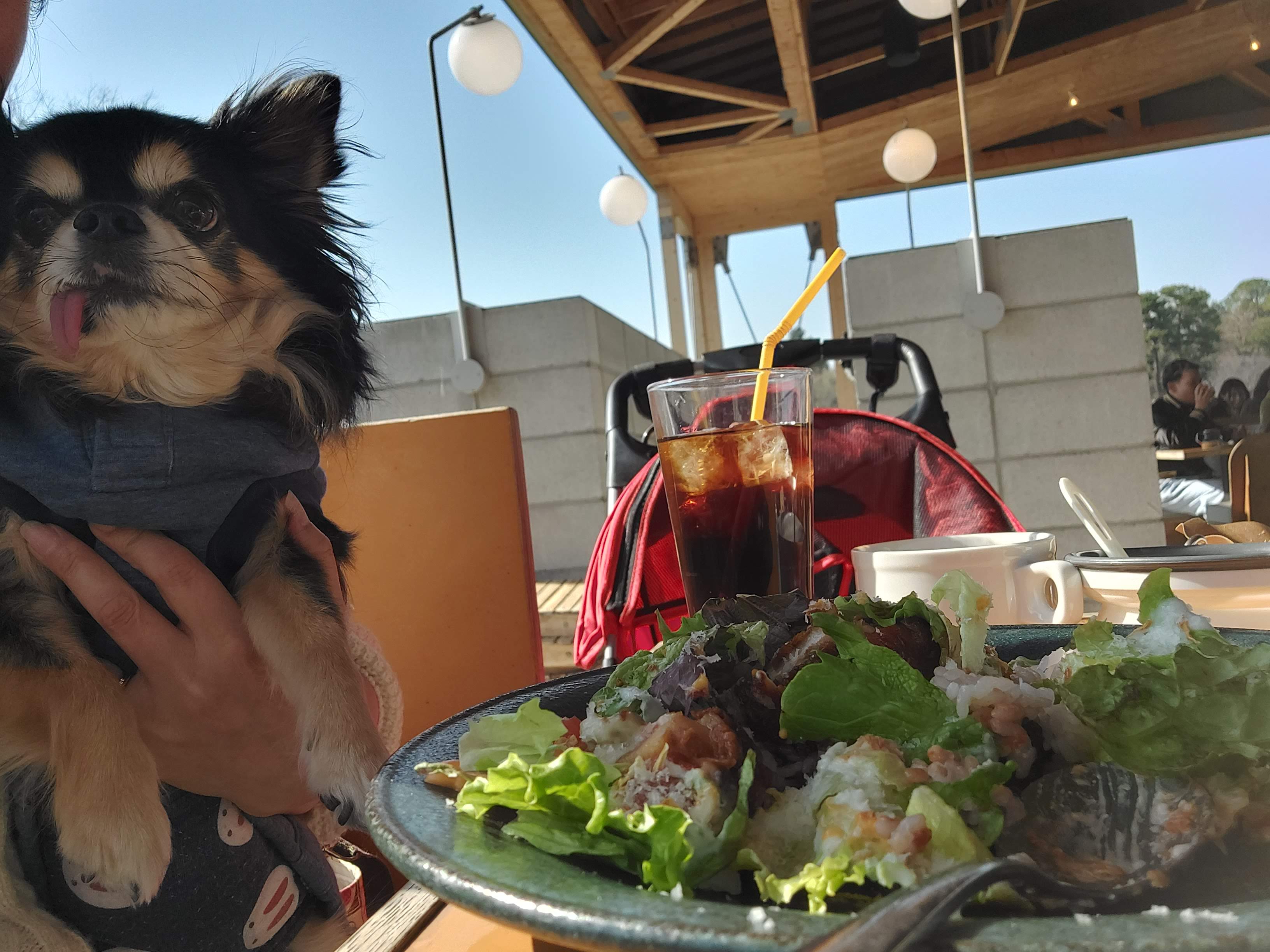 BOTANICAL HOUSE（ボタニカルハウス）