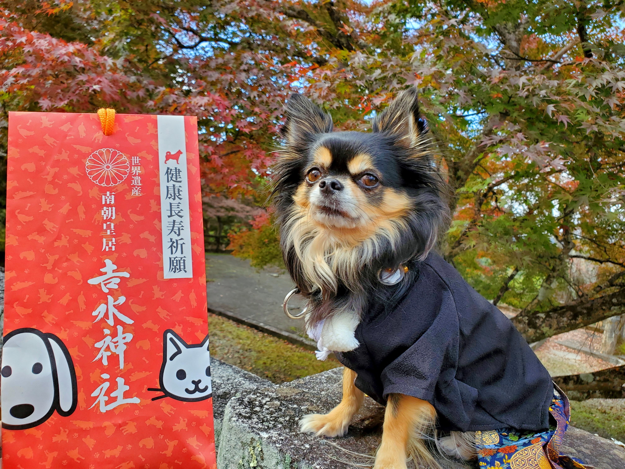 吉水神社