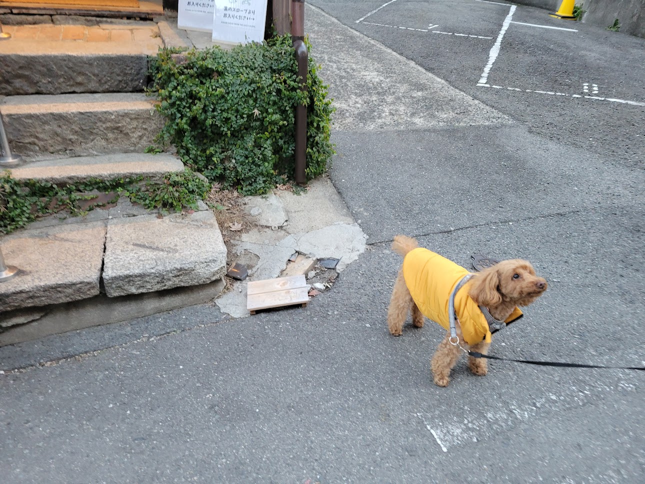 たまごのたまこ空堀店