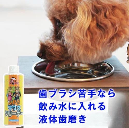 愛犬のデンタルケア商品10選【ペットと一緒編集部】