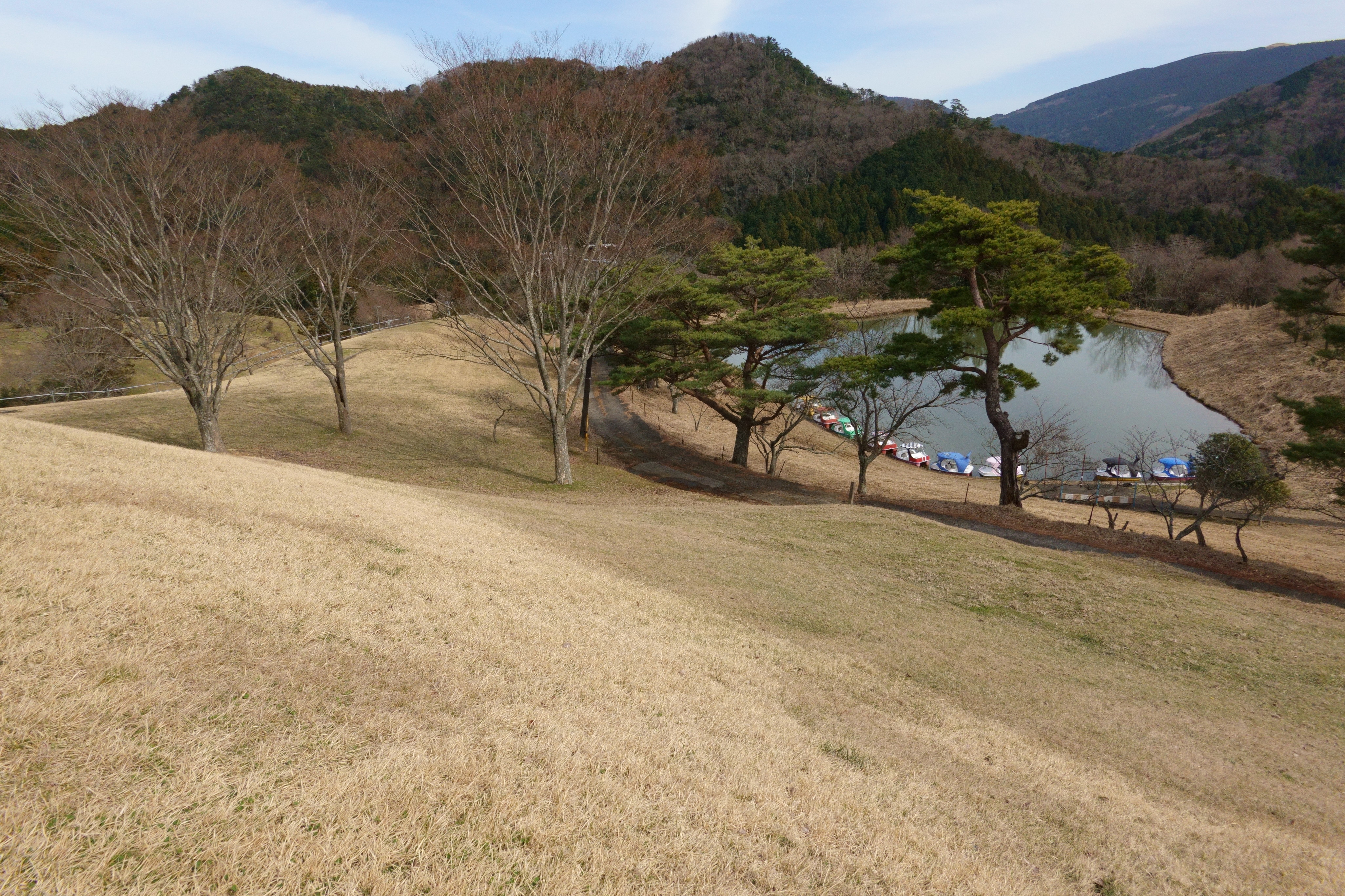 黒沢牧場