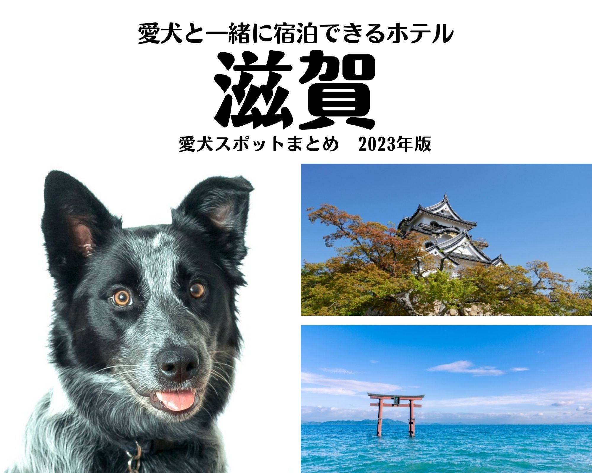 滋賀
