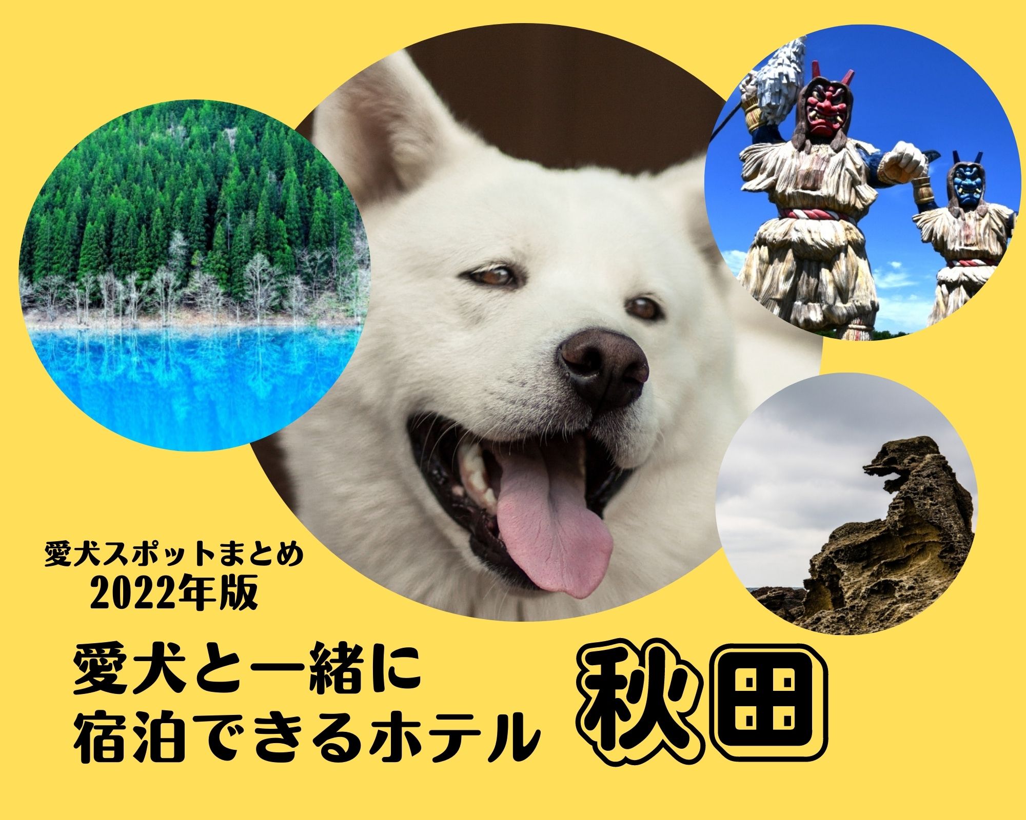 【2022年版】秋田 愛犬と一緒に宿泊できるホテル