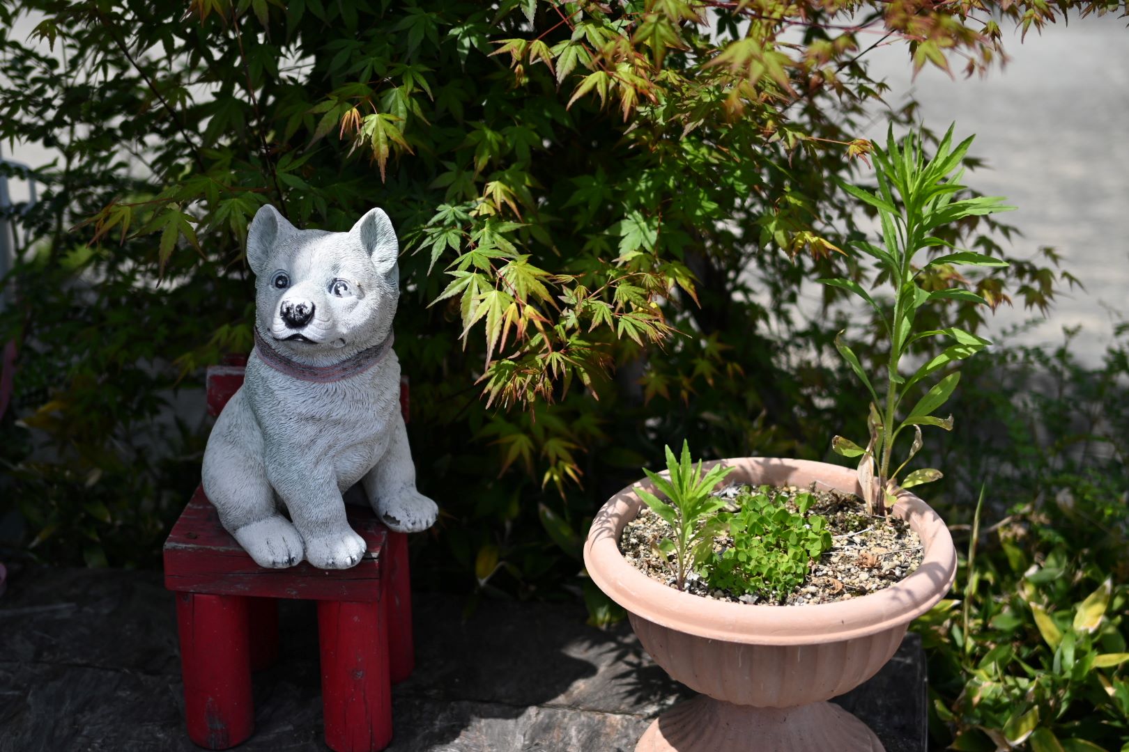 えびす屋餅本舗