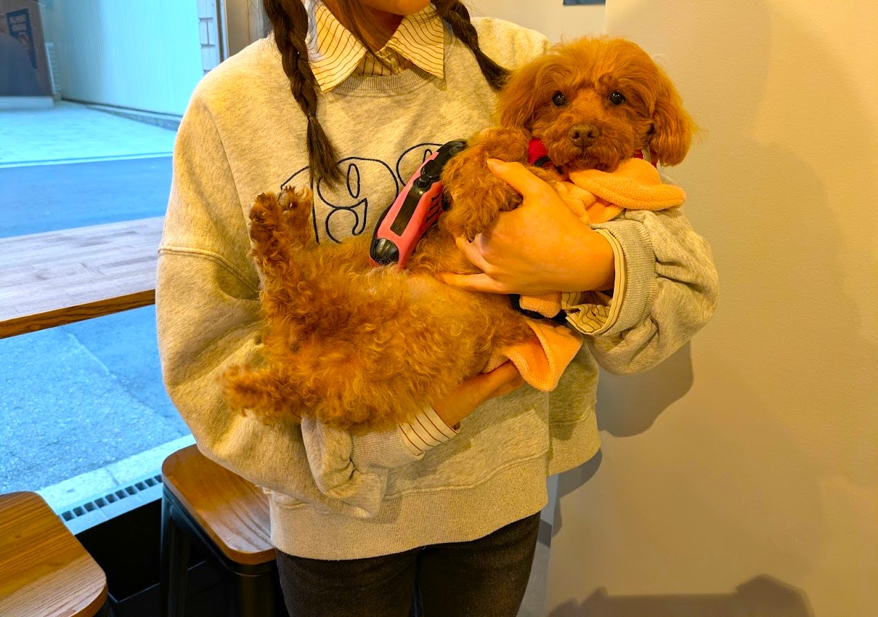 ウィローコーヒースタンド