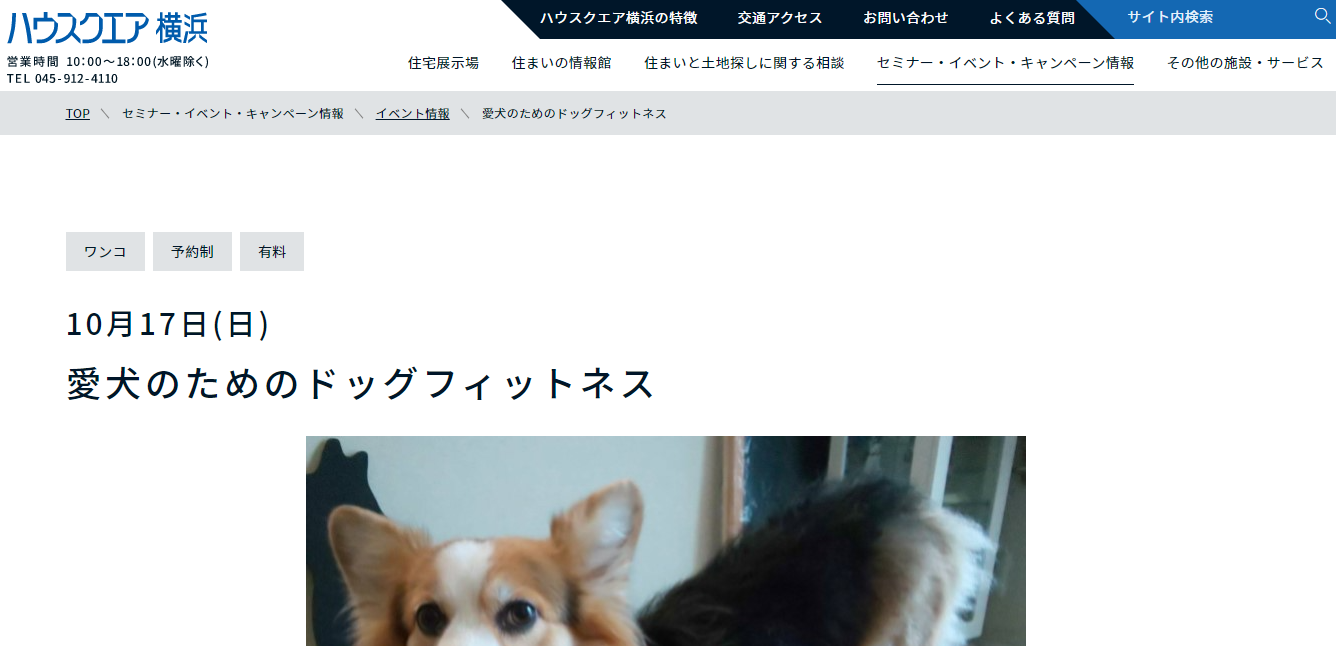 ハウスクエア横浜愛犬のためのドッグフィットネス