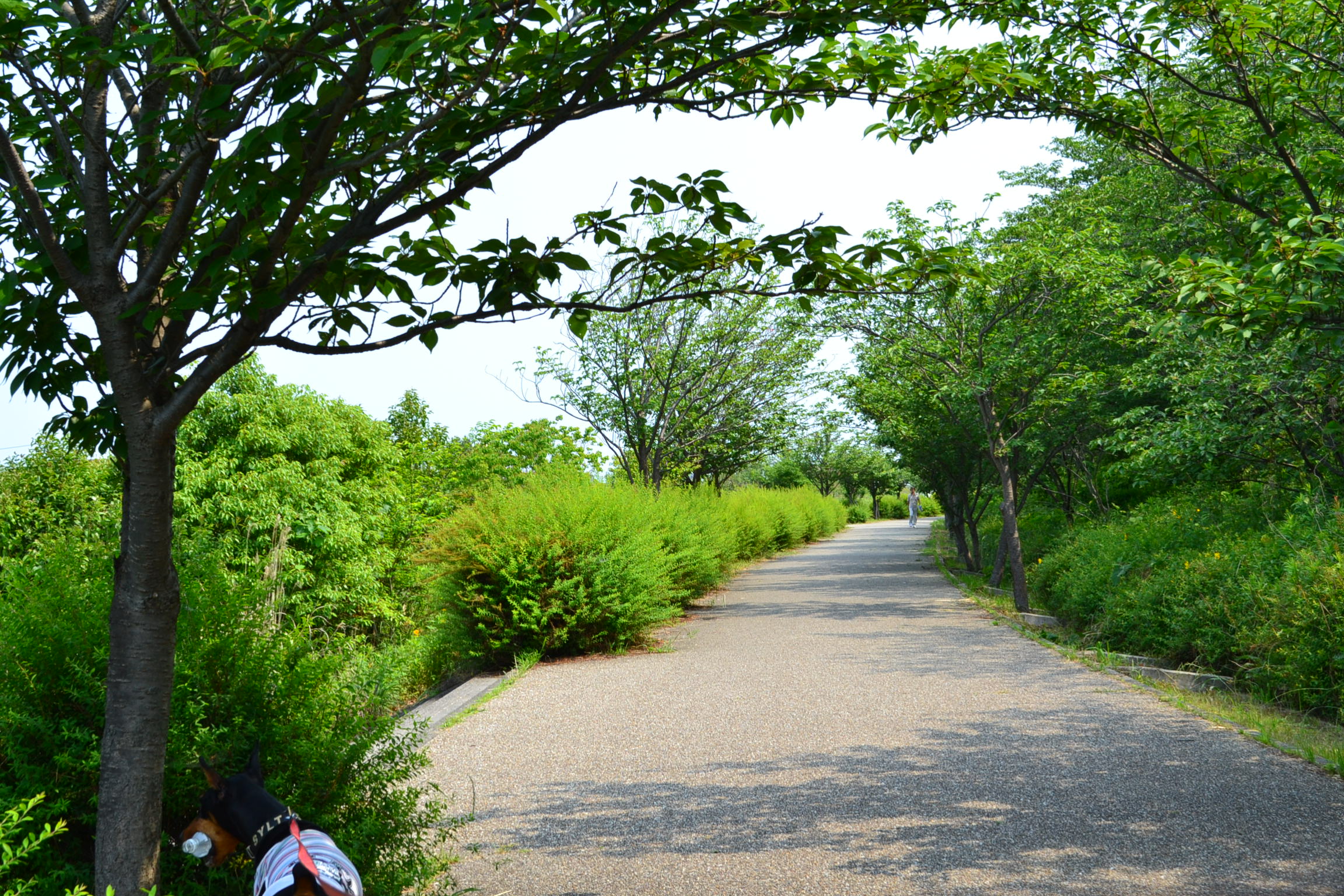 戸田川緑地