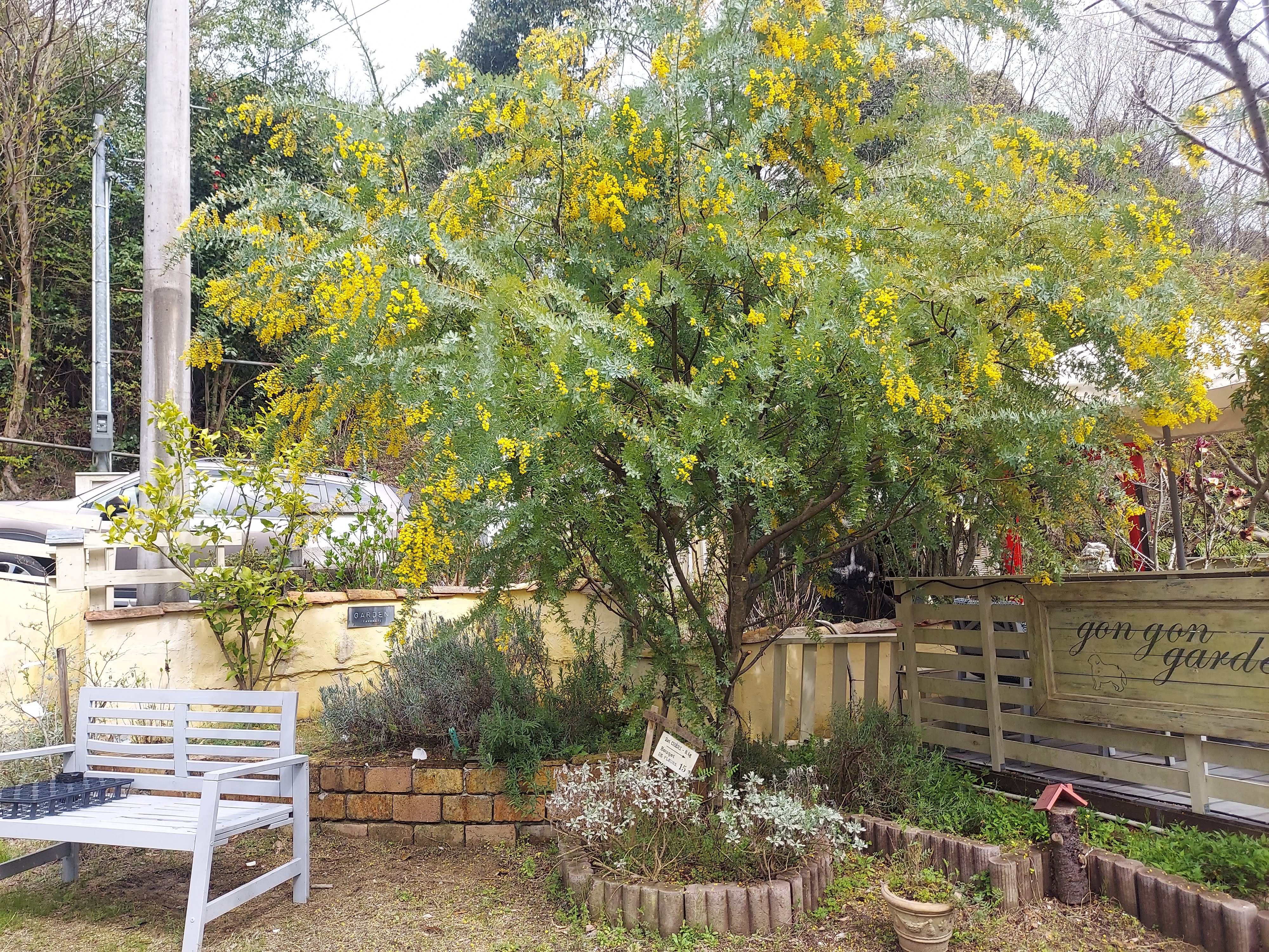 gongoncafe(ごんごんカフェ)