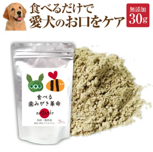 愛犬のデンタルケア商品10選【ペットと一緒編集部】