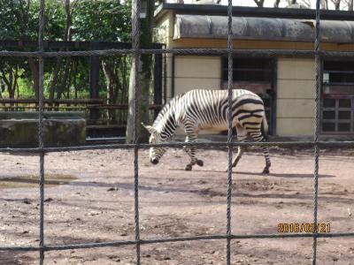 夢見ヶ崎動物公園