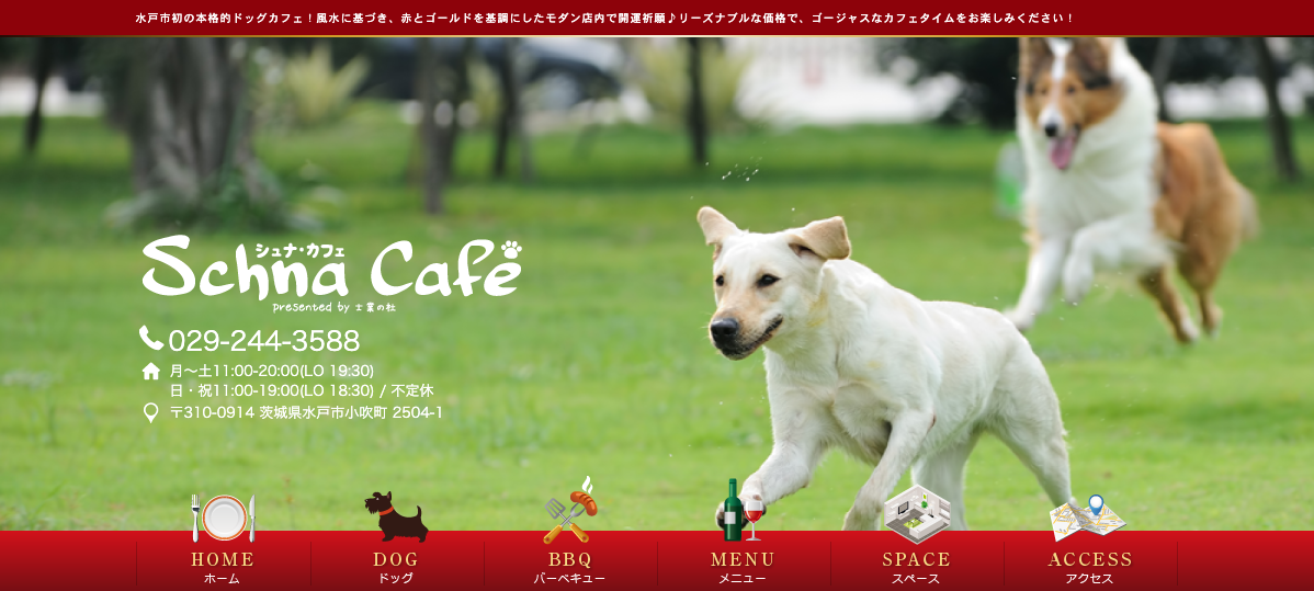 【茨城県・栃木県・群馬県】「犬用メニューもあるカフェまとめ」PartⅦ