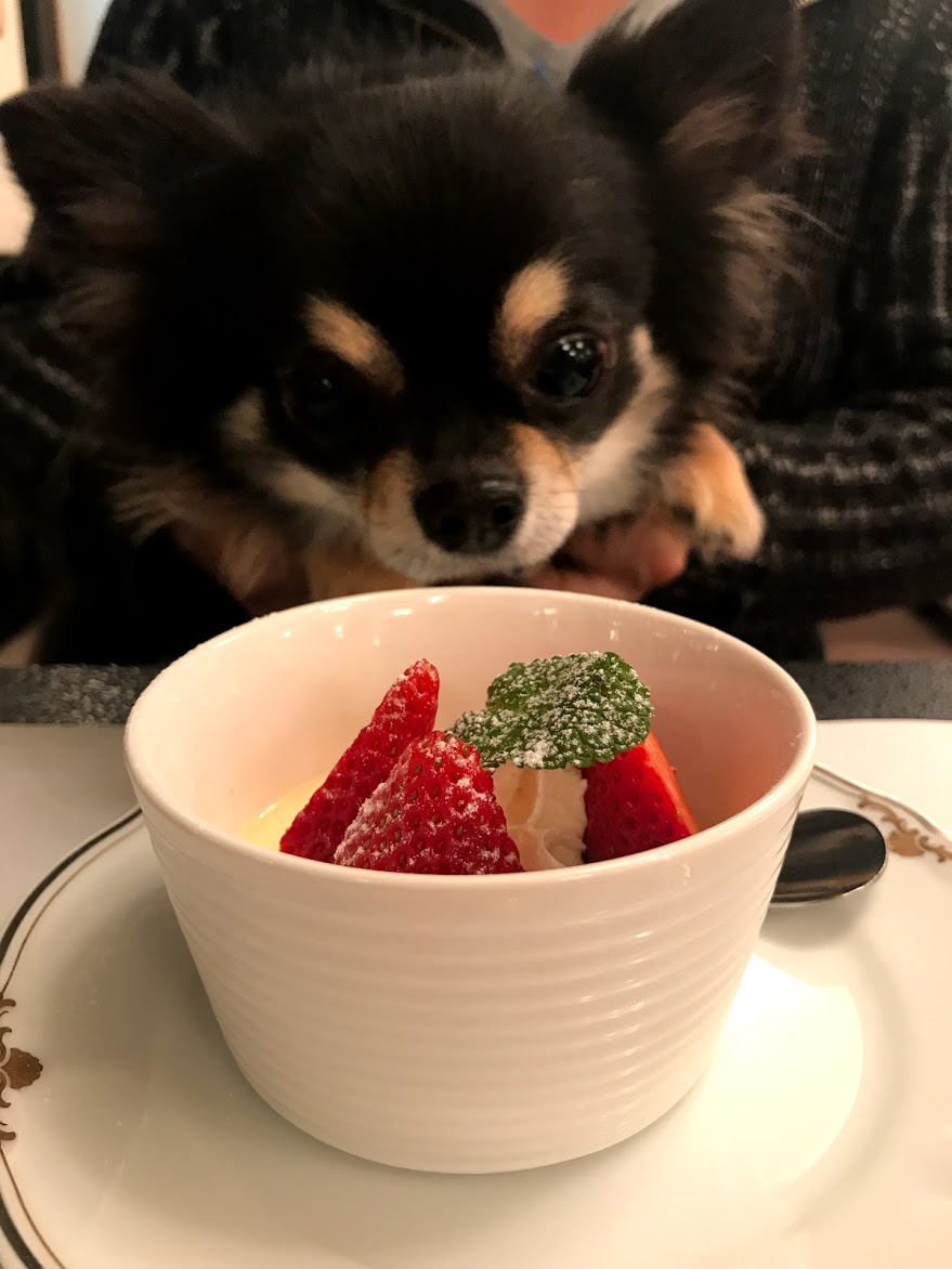 ペット&スパホテル那須ワン