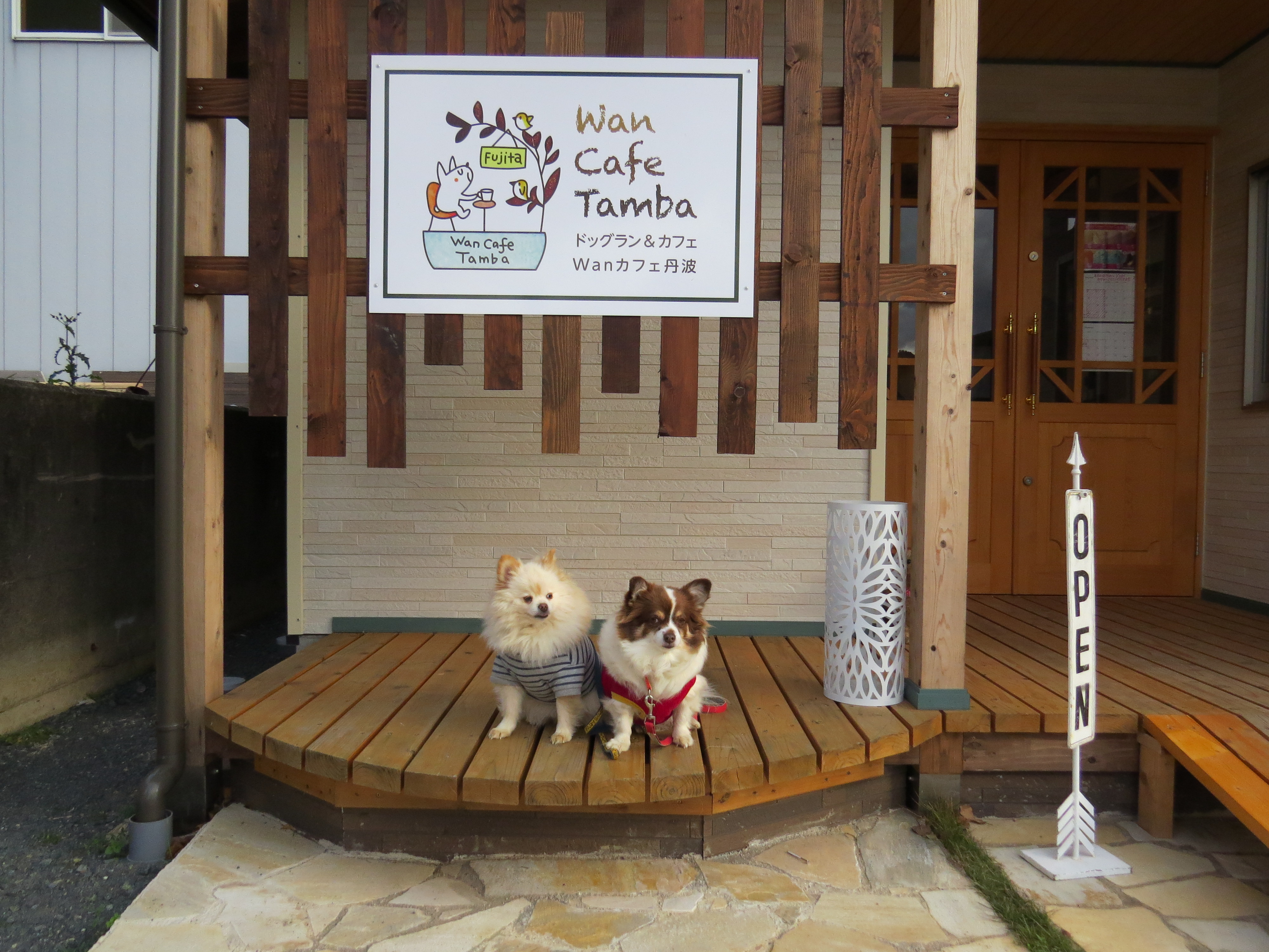 【兵庫Part2】愛犬と美味しいケーキが食べられるお店