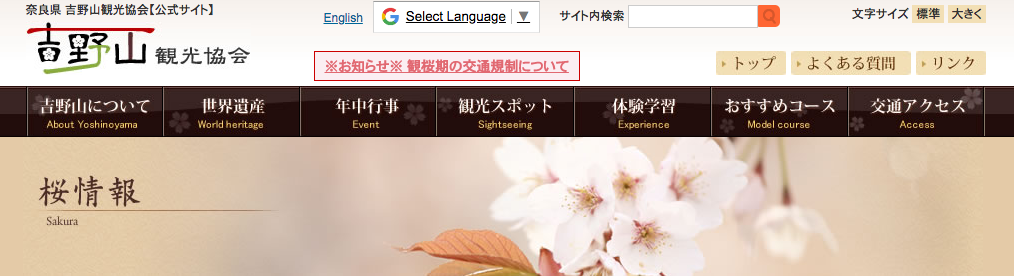 お花見