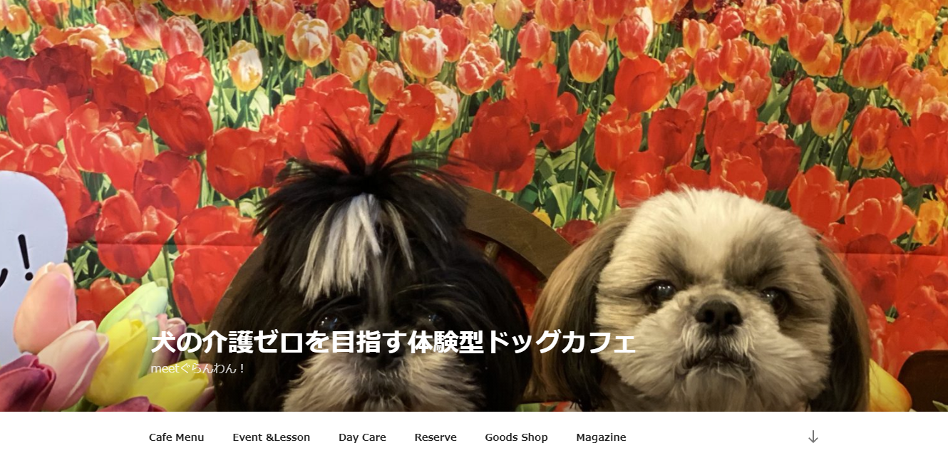meetぐらんわん!シニア犬パーティ