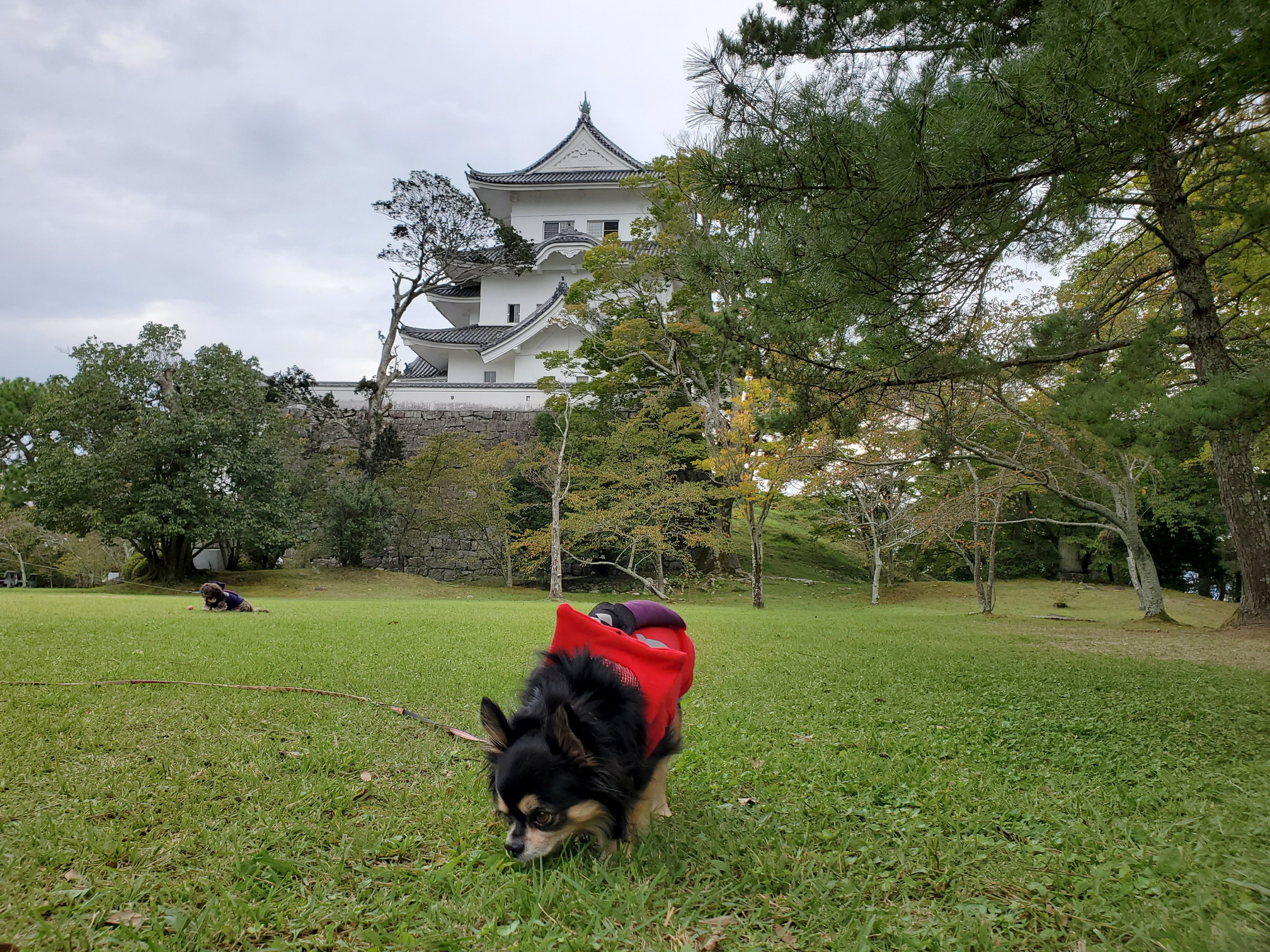 伊賀上野城