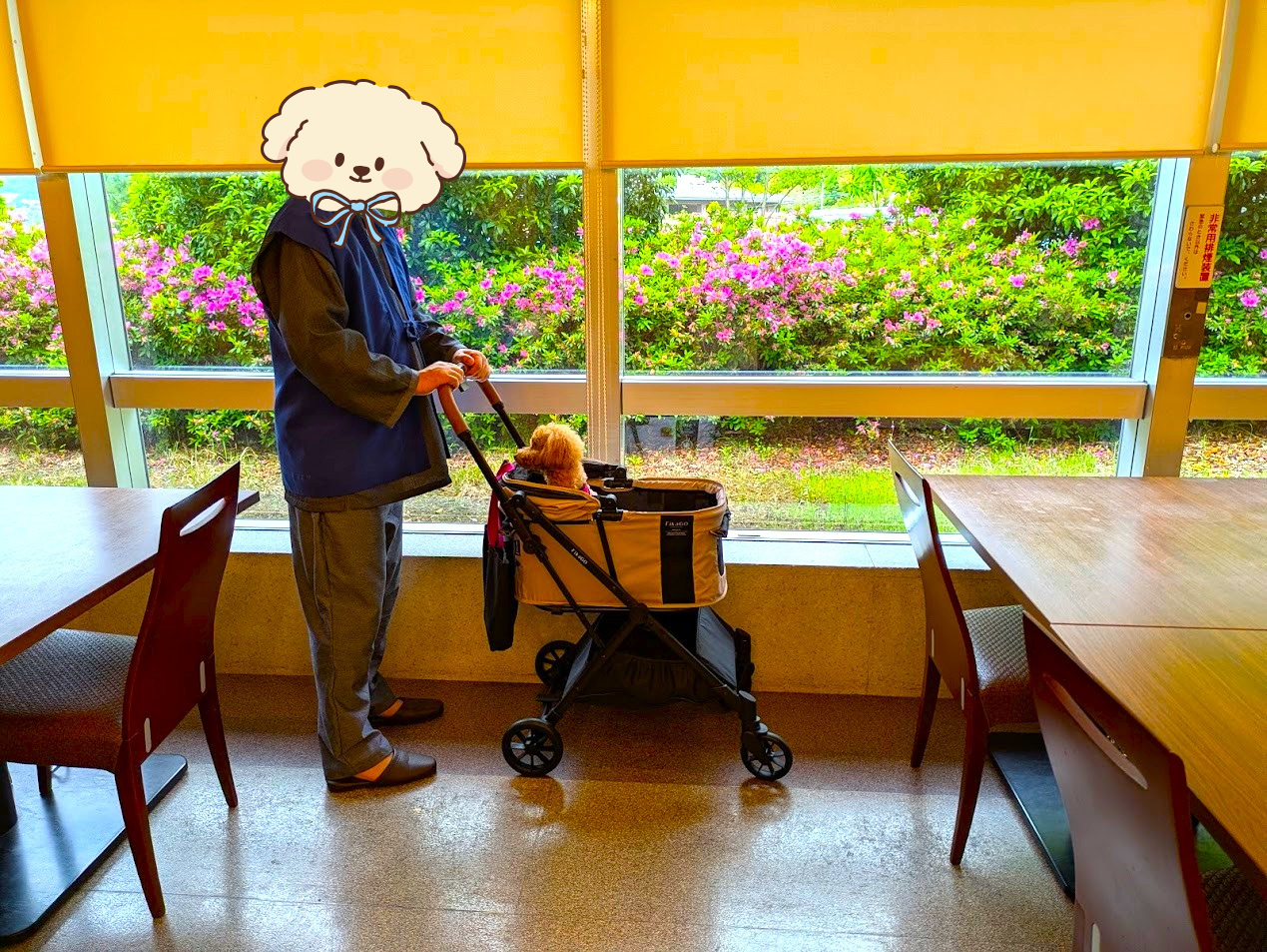 わんわんパラダイス奈良生駒