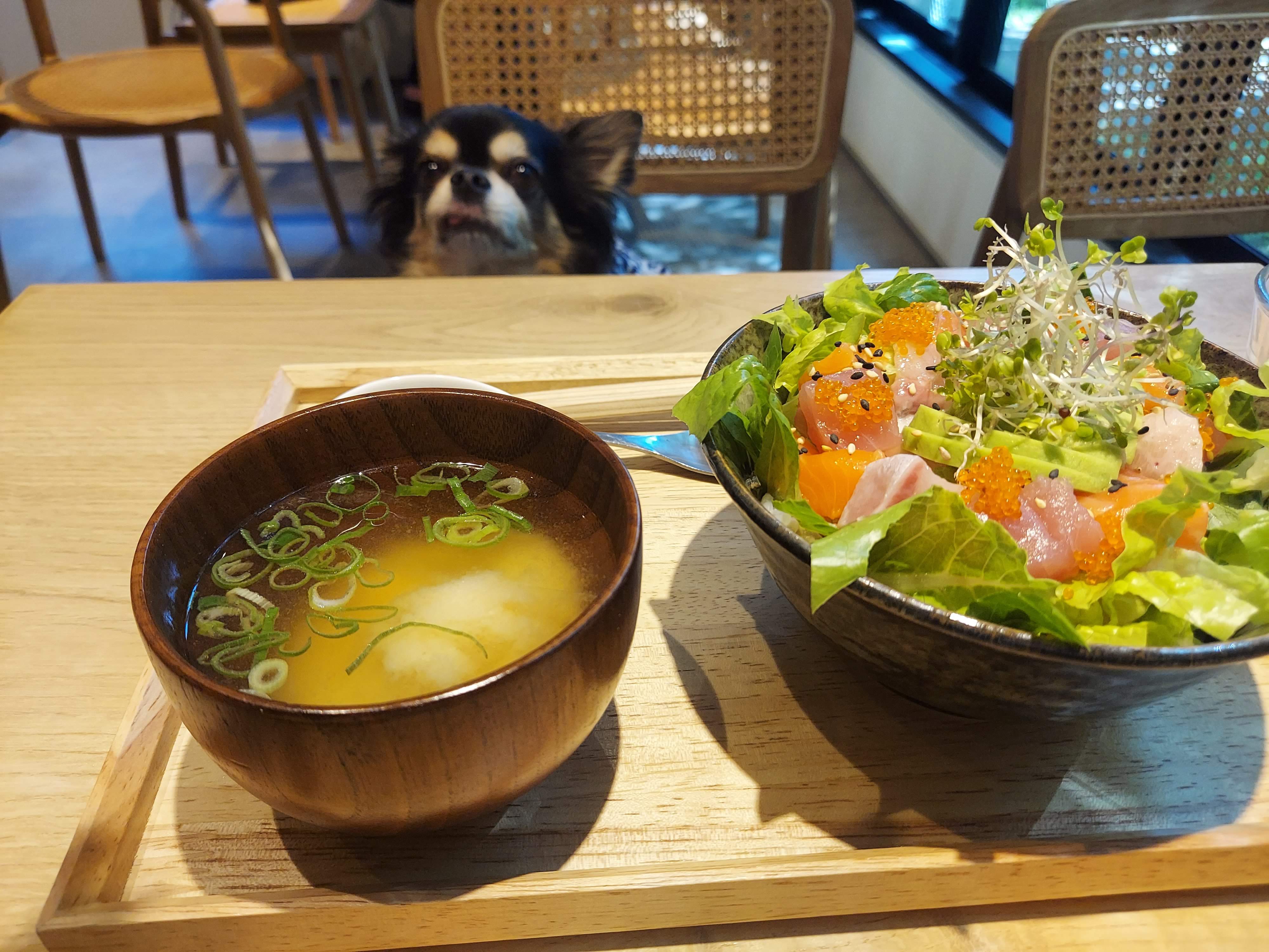 WHY BOWL(ワイボウル)
