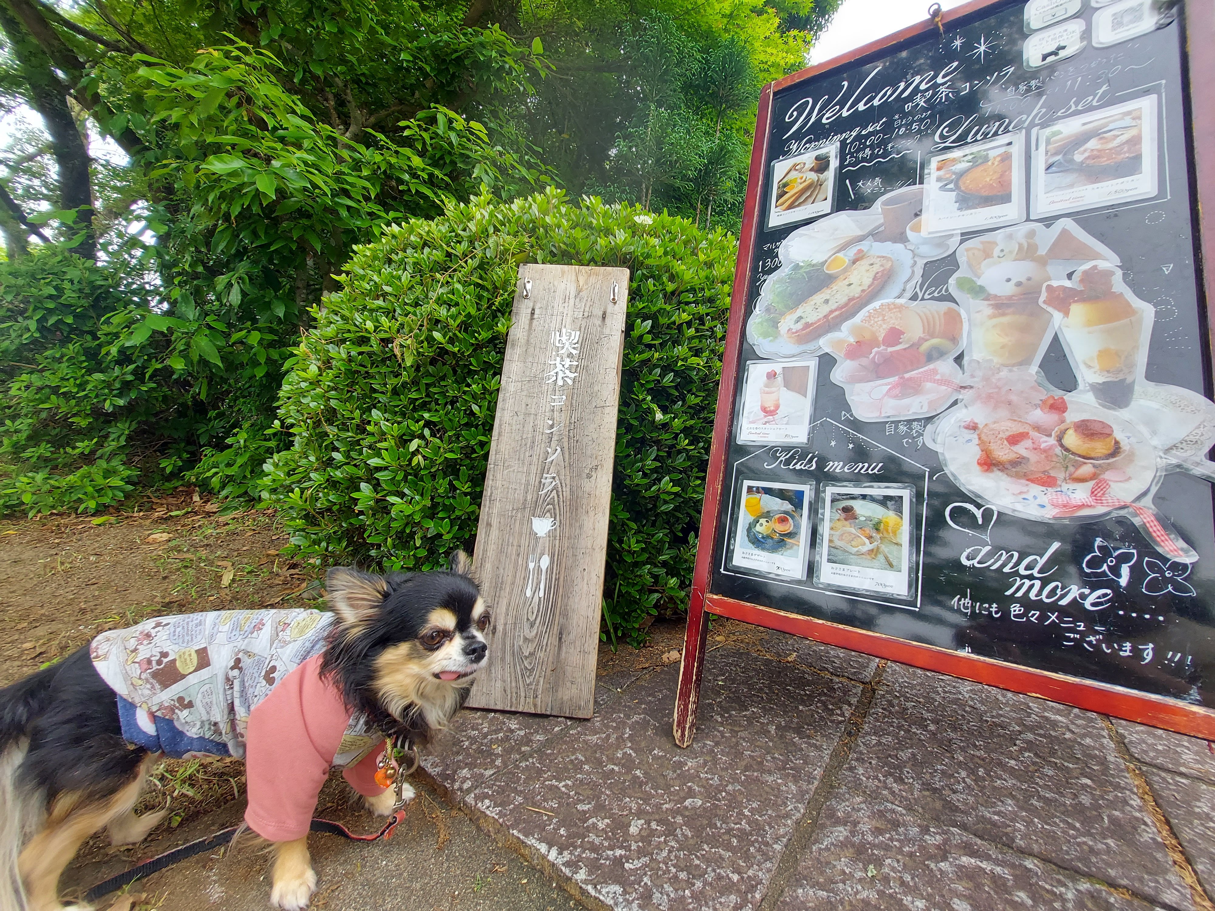 喫茶コンソラ