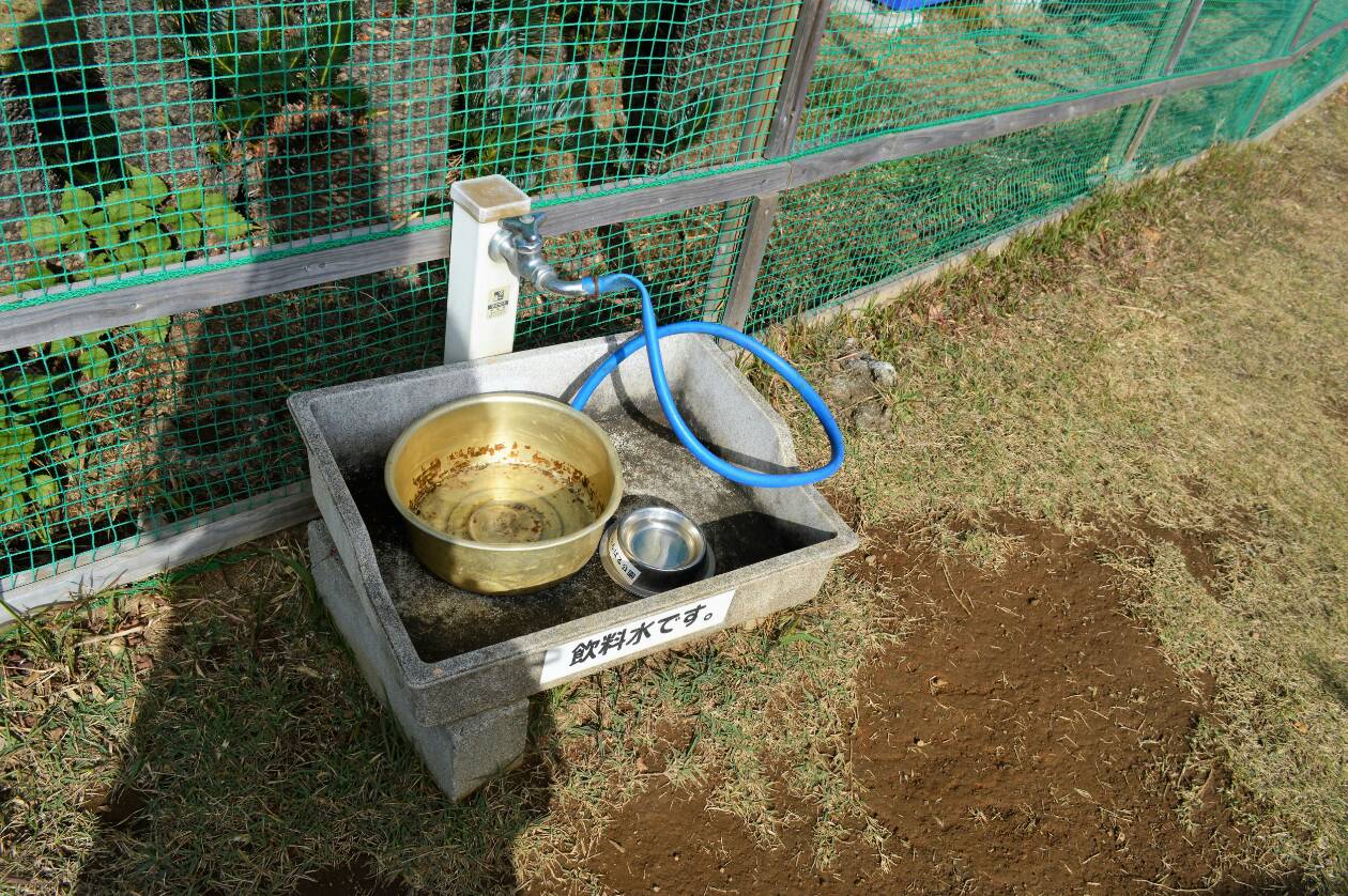 伊豆ぐらんぱる公園