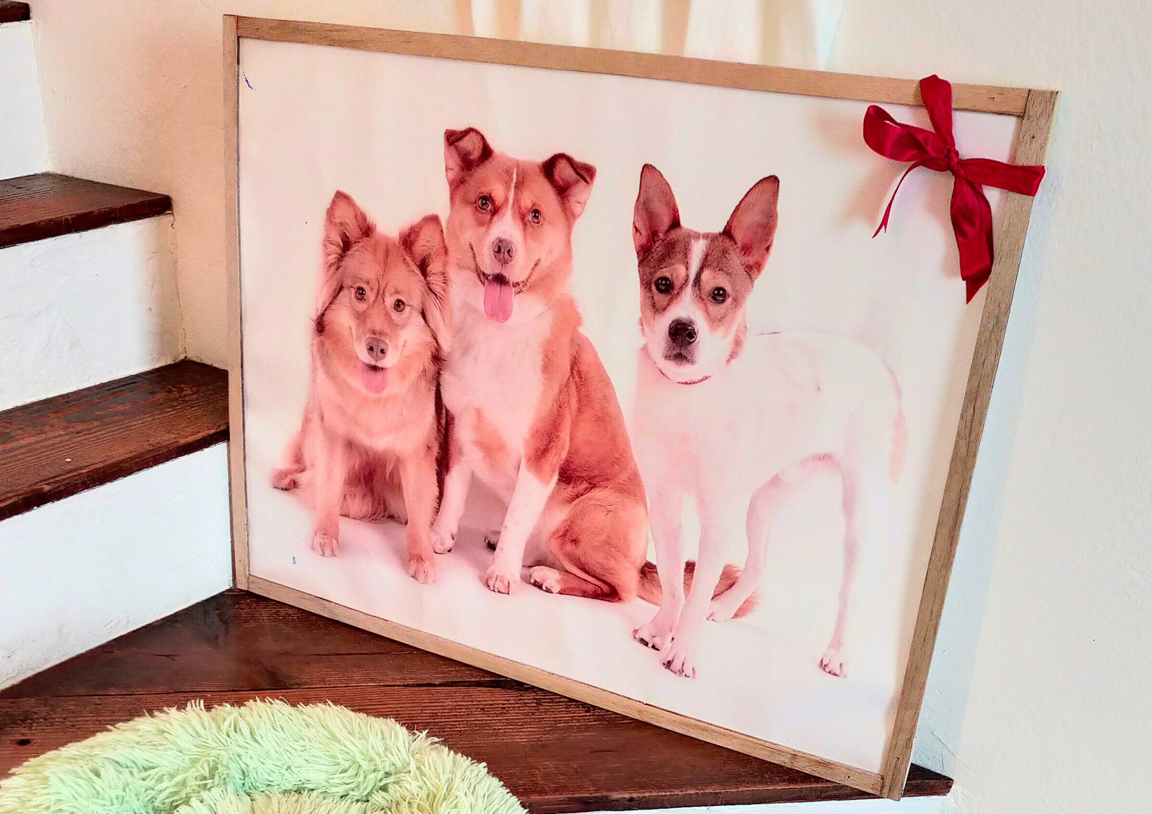 犬連れ専用喫茶ボイボイ