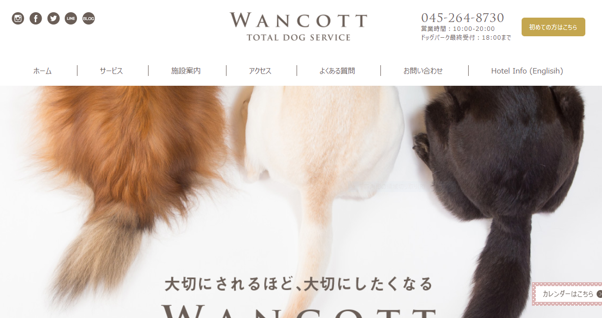 WANCOTTDogyoga