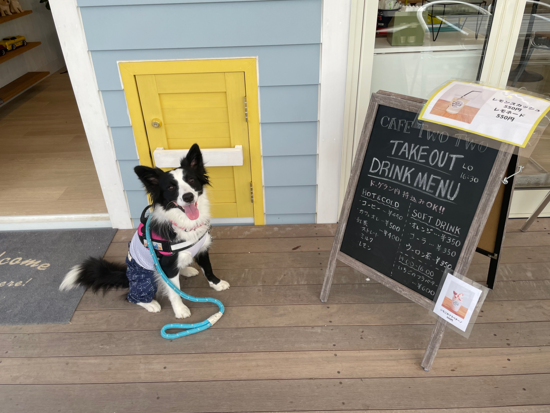 CafeTwoTwo&DogGrassField