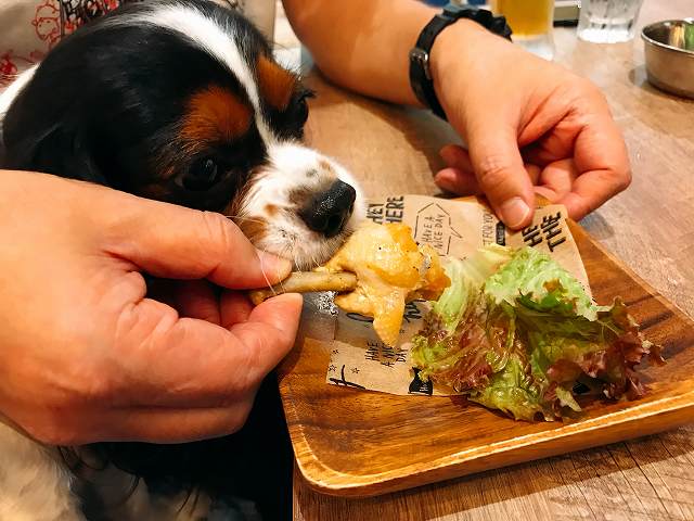 「大型犬も一緒に入れるお店」東京23区