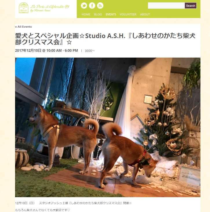 Studio A.S.H.(スタジオアッシュ)主催「しあわせのかたち柴犬部クリスマス会」