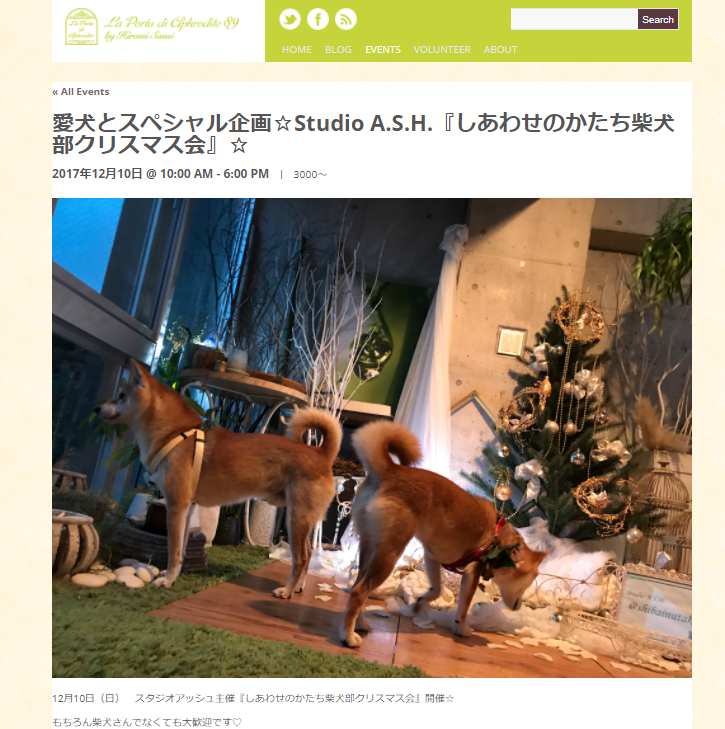 Studio A.S.H.（スタジオアッシュ）主催「しあわせのかたち柴犬部クリスマス会」